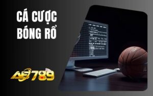 Cá Cược Bóng Rổ