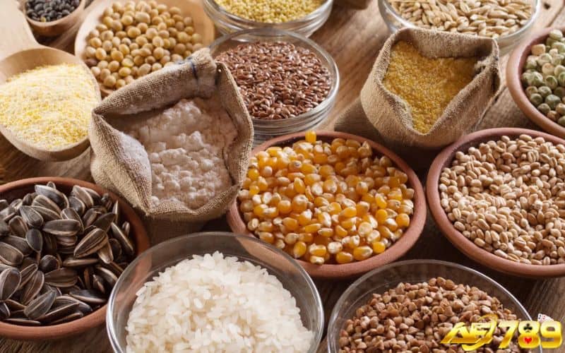 Không nên trộn ngũ cốc với sữa khi cho gà ăn