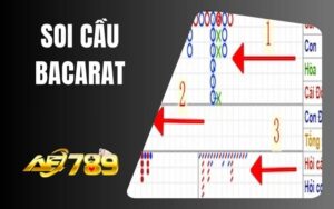 Soi Cầu Baccarat