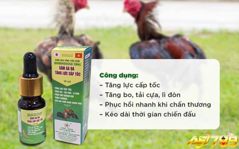 Thuốc phục hồi thể lực cho gà sau khi đá